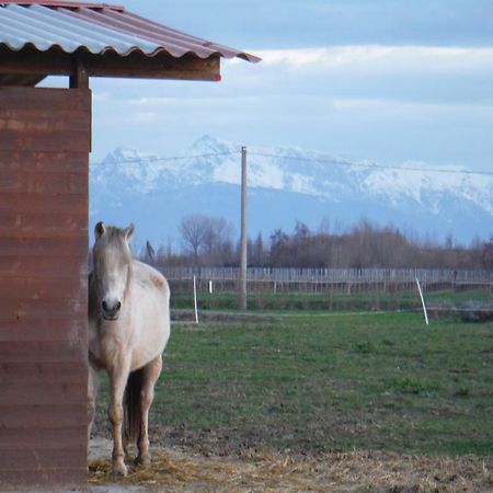 Hotel & Wellness Antico Borgo Torricella San Vito al Tagliamento Exterior photo